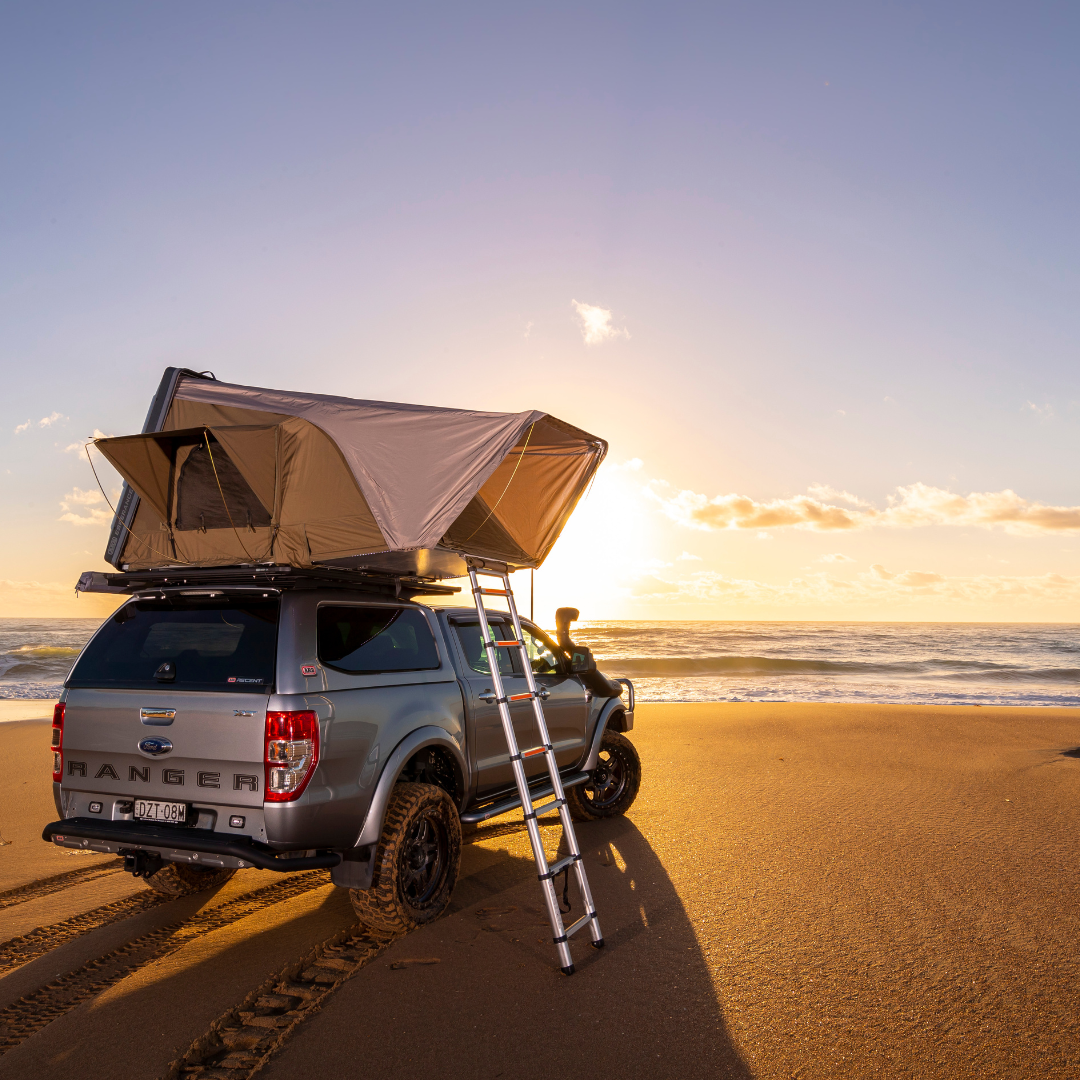 ARB CARPA DE TECHO EN LA AZOTEA ESPERANCE ARB CARPA DE TECHO EN LA AZOTEA ESPERANCE