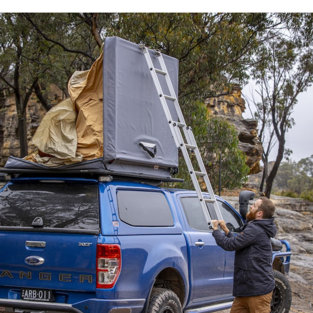 ARB CARPA DE TECHO EN LA AZOTEA FLINDERS